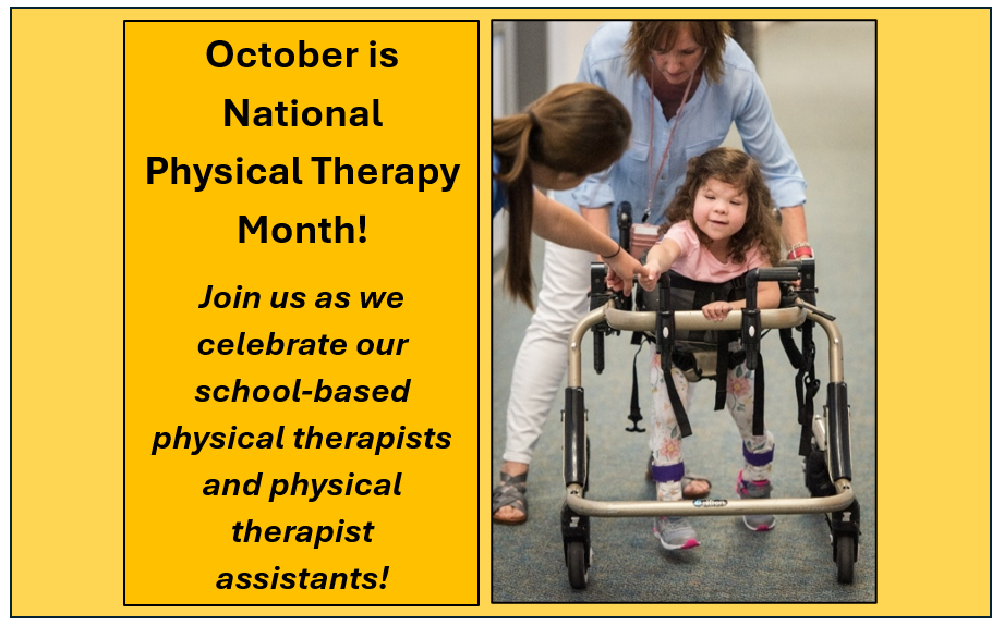 October is National Physical Therapy Month!